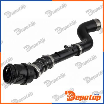Gaine de suralimentation pour RENAULT | GPP-RE-191, 09-1389